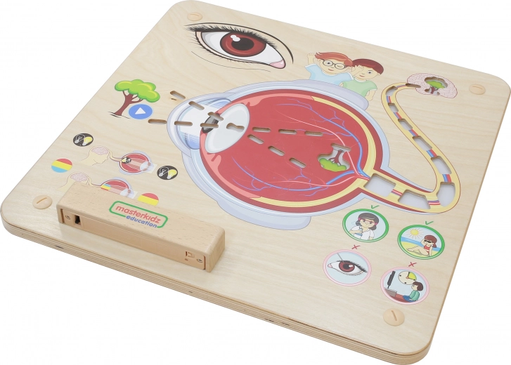 Masterkidz Edukační Tabule Zrak Montessori