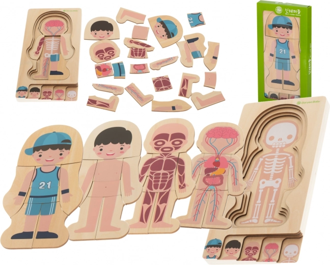 Dřevěná vrstvená puzzle lidské tělo Montessori