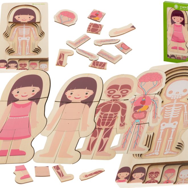 Montessori dřevěná skládačka části těla - dívka