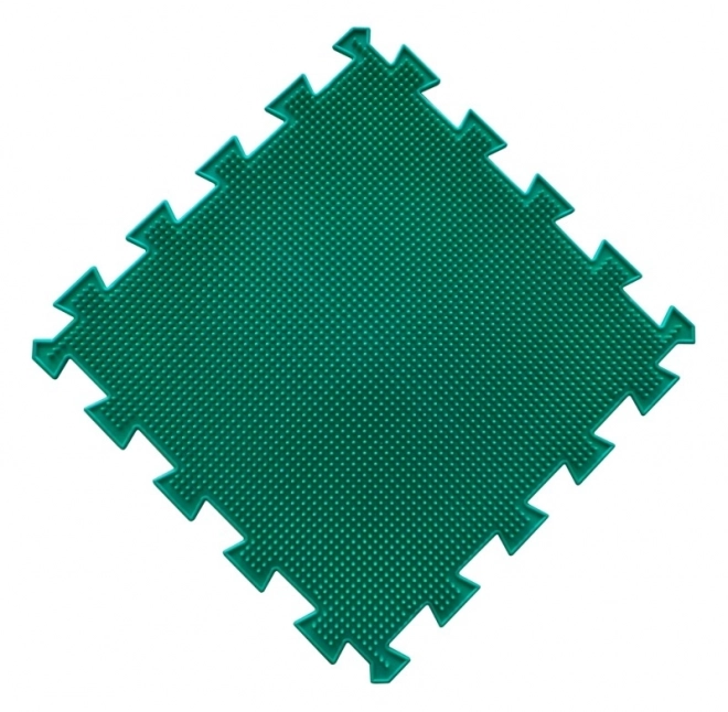 Ortopedické puzzle - Les