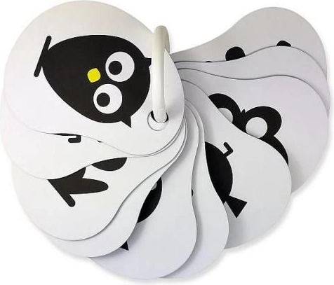 Pevné kartičky na praktickém kroužku